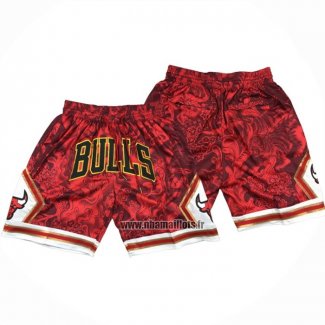 Short Chicago Bulls Special Year of The Tiger Rouge