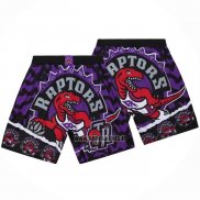 Short Tornto Raptors Mitchell & Ness Noir Volet