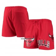 Short Chicago Bulls Pro Standard Mesh Capsule Rouge