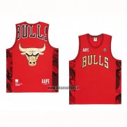 Maillot Chicago Bulls x Aape Rouge